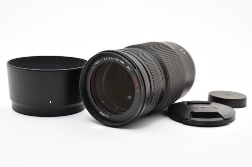 Lumix vario 100 - g,