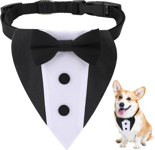 Pet party tuxedo set wedding - pet,