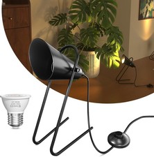 Plant Uplighters Indoor