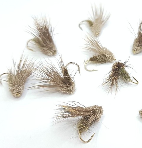 Streaking caddis sedge - streaking,