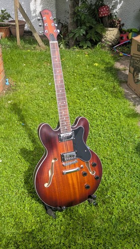 Eart 335 guitar - eart,