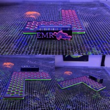 Magnetic Corner Coral Frag