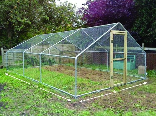 Walk chicken run steel - walk, in