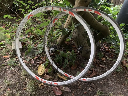 Velocity deep handbuilt rim - velocity,