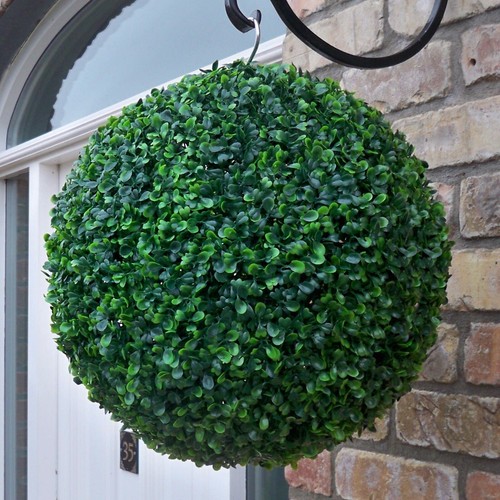 Green boxwood hanging - green,