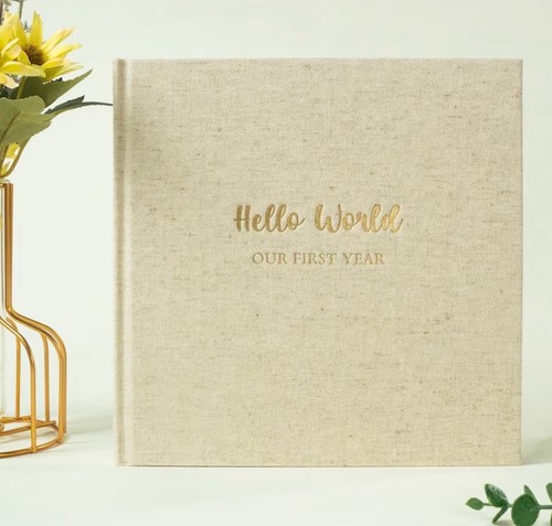 Twins baby record book - baby,
