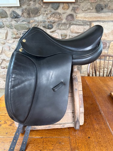 Harry dabbs dressage - harry, avant