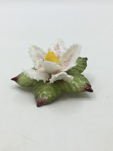 Vintage fine bone china - fine,