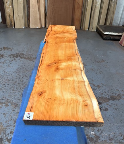 Yew waney edge - waney, 25mm