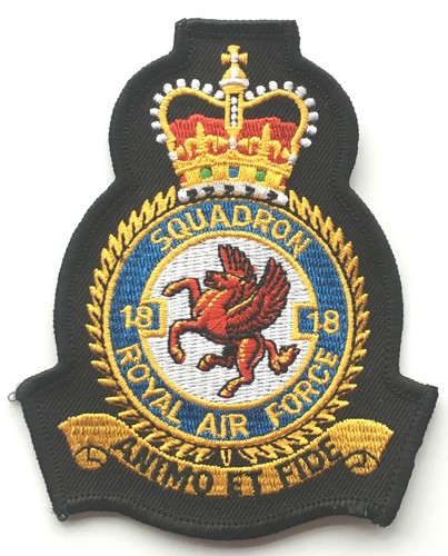 Squadron royal air force - air,