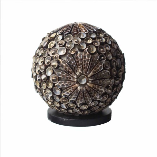 Boho sea shell lamp - lamp,