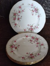 Paragon Victoriana Rose set of