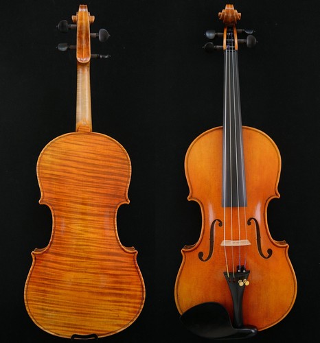 Outstanding sounding violin - sounding,