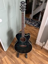 Electric Acoustic Guitar