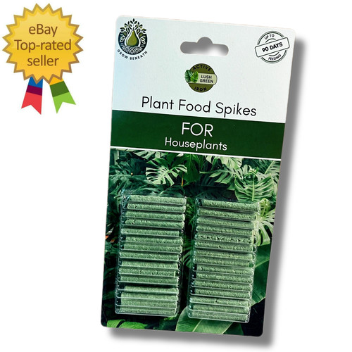 Large pack plant - plant, spikes