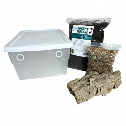 Vivarium accessories quart - vivarium,