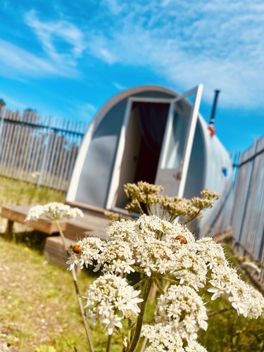Tiny house cabin - cabin, |