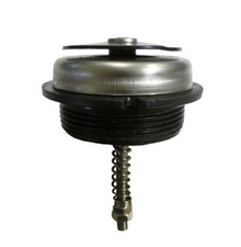 2" Pressure Relief Vent/Bunded