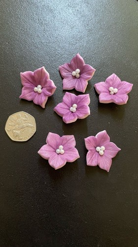 Sugar flowers - 30,