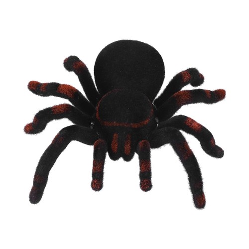 Remote control spider toys - remote,