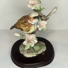 The Leonardo Collection