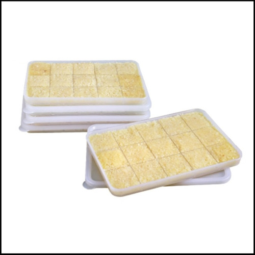 Pcs korean silicook garlic - pcs],