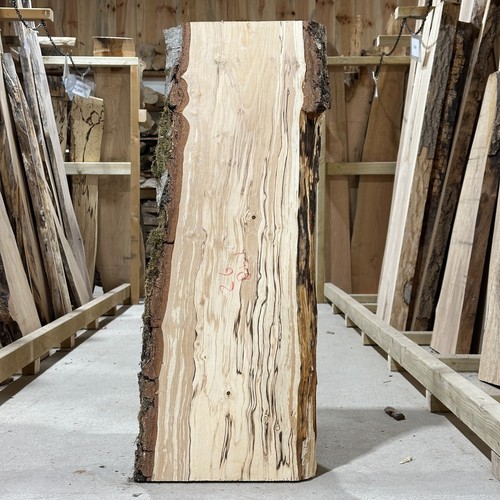 Spalted birch plank board - plank,
