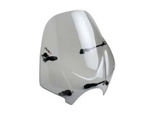 Puig Light Smoke Ranger Screen