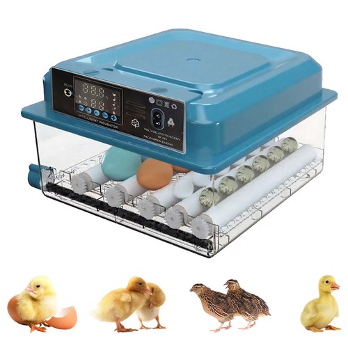 Eggs incubator without - incubator,