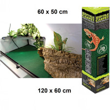Komodo Reptile Carpet Vivarium