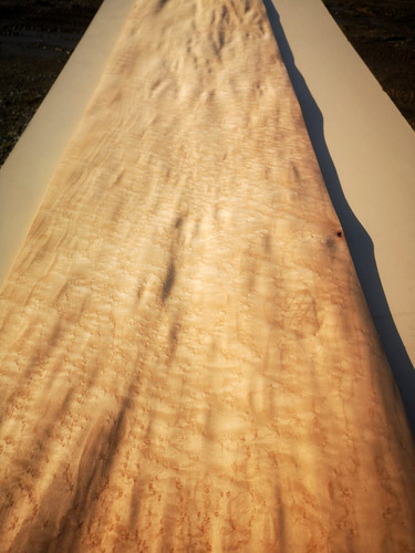 Birds eye maple veneer - , cm