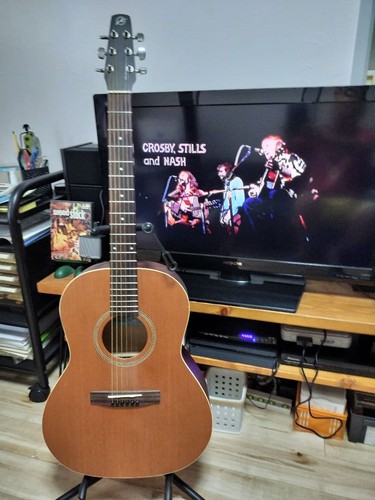 Seagull folk acoustic - s6+,
