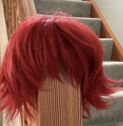Reki kyan anime cosplay wig - cosplay,