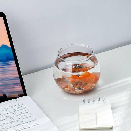 Bowl tank aquarium table - tank,
