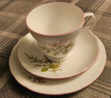 Crown Trent Staffordshire Fine