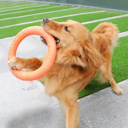 Dog toys pet flying - toys,