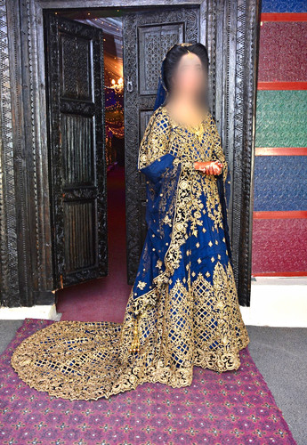 Women blue velvet gold - women’s,
