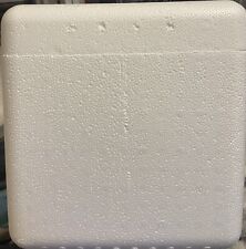 2 Styrofoam Box For Cold Things. Bigger Boxes Available On another Listing