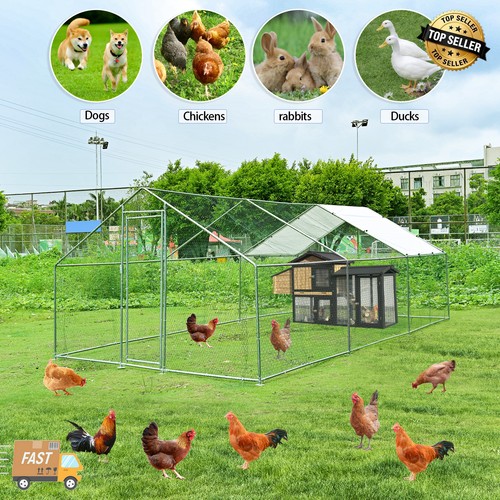 20ft large chicken - 20ft,