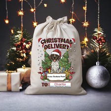 German Shorthaired Pointer Dog