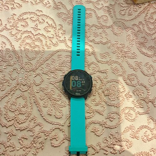 Garmin forerunner 245 - forerunner, gps