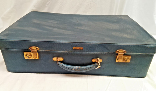 Vintage antler blue - vintage, suitcase