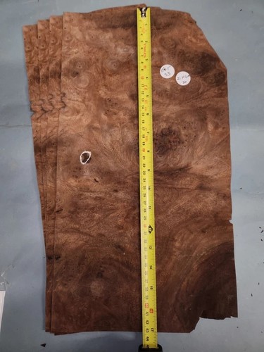 American walnut burr - walnut, veneer