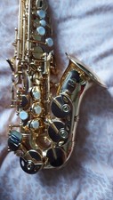 Curved soprano saxophone in