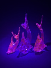 Neodymium Pink Glass Fish Set