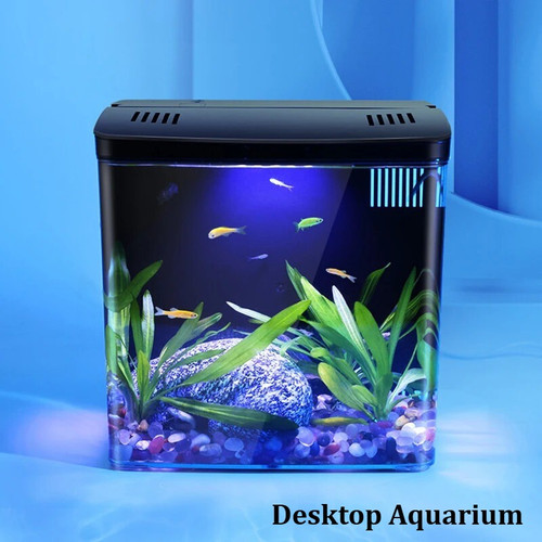 Small fish tank - small,