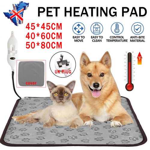 Pet heating pad cat - pet,