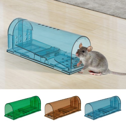 Pack humane mouse traps - mouse,