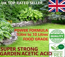 Weed Killer Vinegar Strong