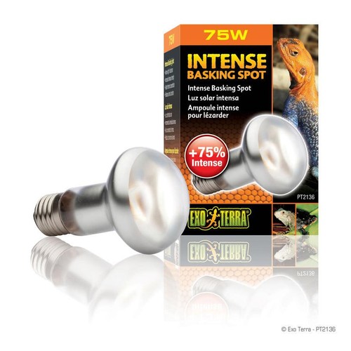Exo terra intense basking spot - exo,